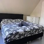 Beautiful Entire House In The Center *